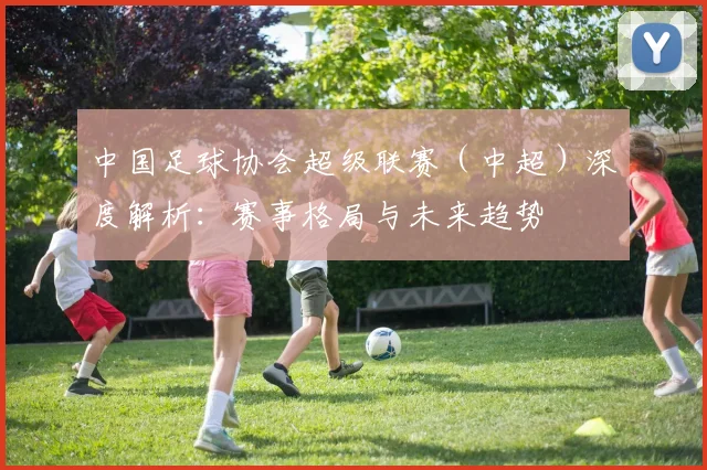 中国足球协会超级联赛（中超）深度解析：赛事格局与未来趋势