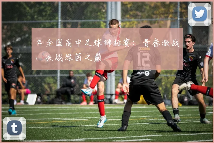 年全国高中足球锦标赛：青春激战，决战绿茵之巅