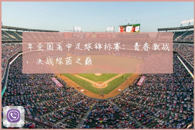 年全国高中足球锦标赛：青春激战，决战绿茵之巅